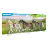 3 Pony