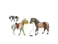 3 Pony