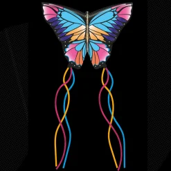 Aquilone Farfalla Aquilone Aquila