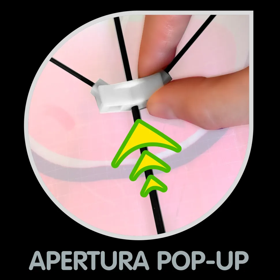 Aquilone Farfalla Aquilone Aquila