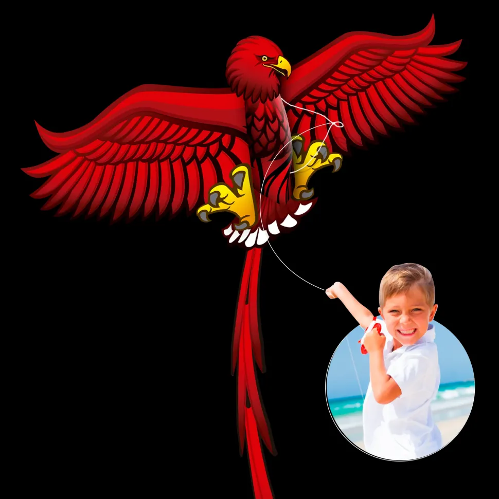 Aquilone Farfalla Aquilone Aquila