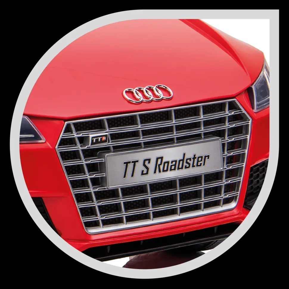 Audi Tt S Roadster Elettrica