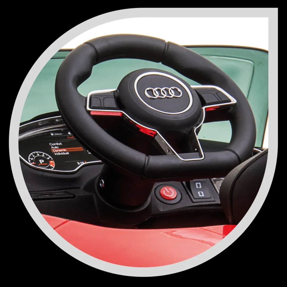 Audi Tt S Roadster Elettrica