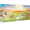 Blister Cavalli E Pony