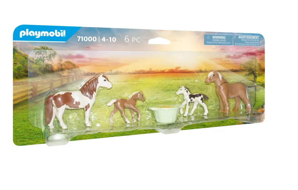 Blister Cavalli E Pony