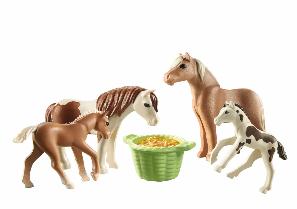 Blister Cavalli E Pony