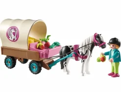 Carrozza Con Pony