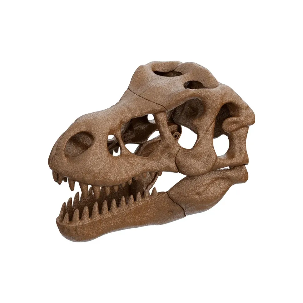 Clementoni 19324 Archeogiocando Kit T-Rex 2In1
