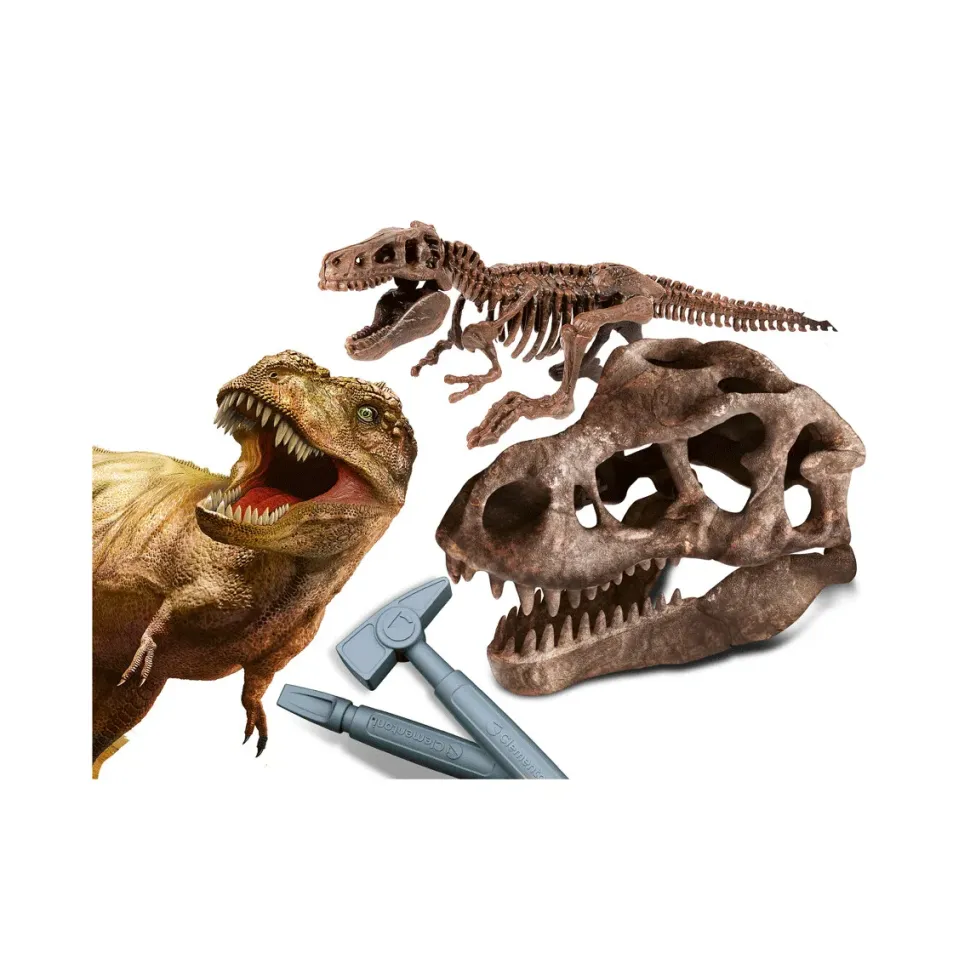 Clementoni 19324 Archeogiocando Kit T-Rex 2In1