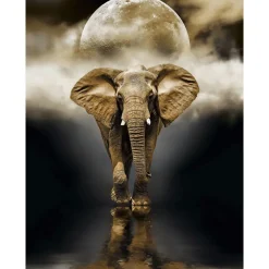 Clementoni 39416 Puzzle 1000 Hqc The Elephant 70 X 50 Cm