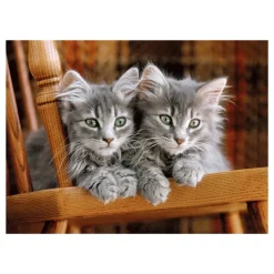 Clementoni Puzzle High Quality Collection Ginger Cat 500 Pezzi, Puzzle Adulti