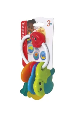 Dentaruolo Animali Marini