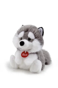Fluffy Husky