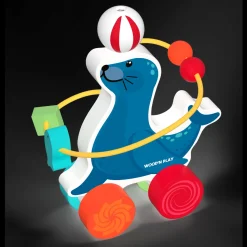 Foca Attivita'