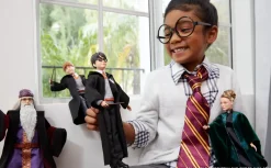 Harry Potter E La Camera Dei Segreti Personaggio Di Harry Potter