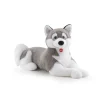 Husky Marcus