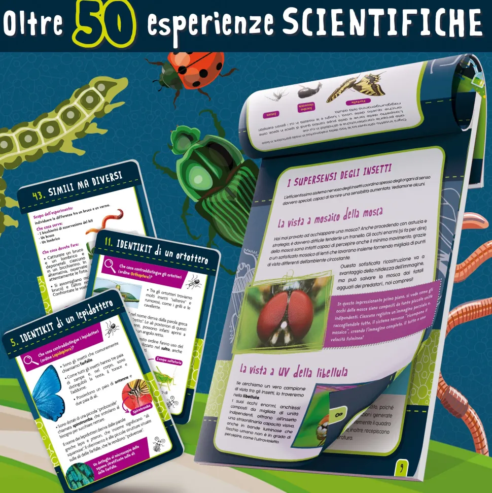 I'M A Genius Scienza In Casa Insetti