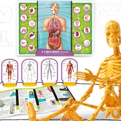 I'M A Genius Scienza Pocket Scopri Il Corpo Umano
