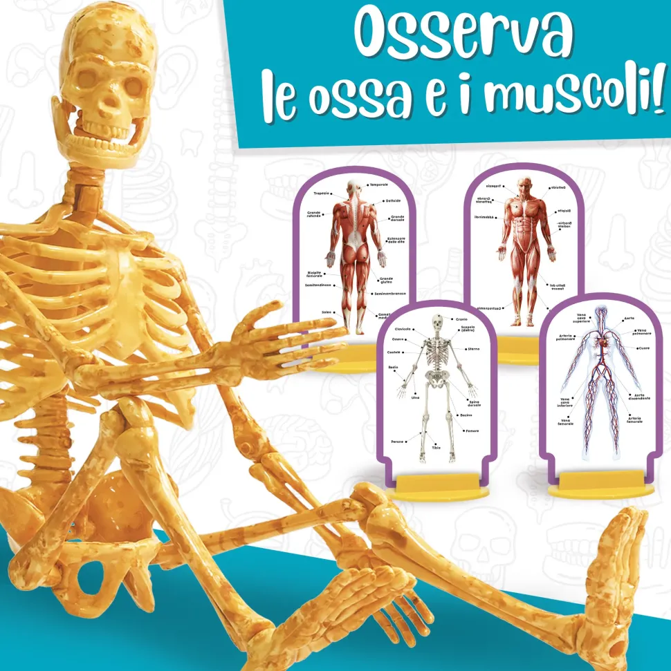 I'M A Genius Scienza Pocket Scopri Il Corpo Umano