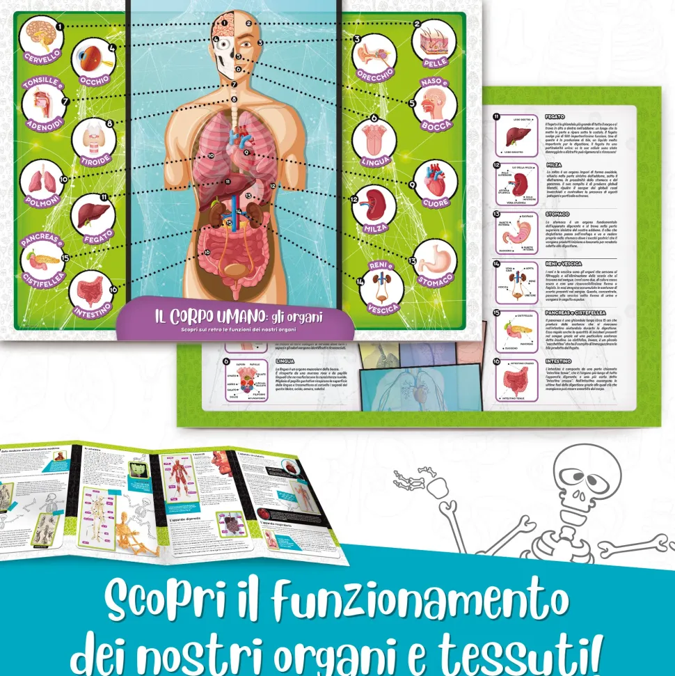 I'M A Genius Scienza Pocket Scopri Il Corpo Umano