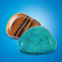 Kit Paleontologo Con 2 Tesori
