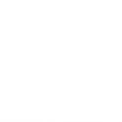 Lego Creator 40524 Girasoli, Fiori Finti Per Bambini 8+ Compatibile Con Bouquet Fiori Artificiali, Regalo Per Ragazza O Ragazzo