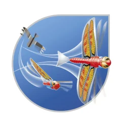 Libellula Volante