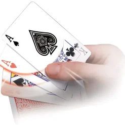 Magia Sbalorditiva 30 Incredibili Trucchi Con Le Carte
