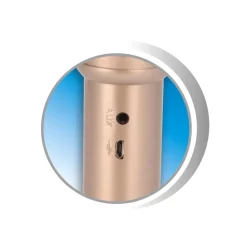 Microfono Wireless
