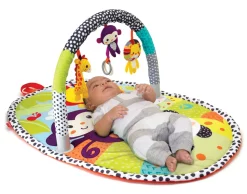 Palestrina Activity Gym