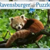 Ravensburger Puzzle Panda Rosso, 500 Pezzi, Puzzle Adulti