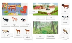 Sapientino Montessori Gli Animali E I Loro Cuccioli