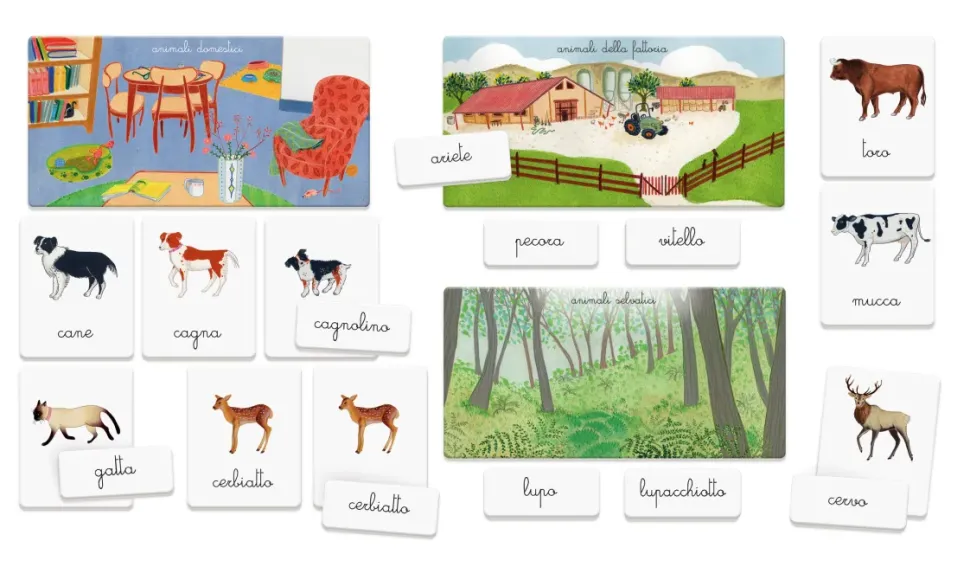 Sapientino Montessori Gli Animali E I Loro Cuccioli
