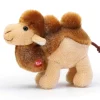 Trudi Sw Col Cammello Jamil Taglia Xxs