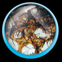 Valigetta Microscopio 1200X